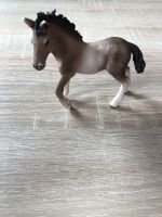 Schleich „Andalusier Fohlen „ Hessen - Niederaula Vorschau