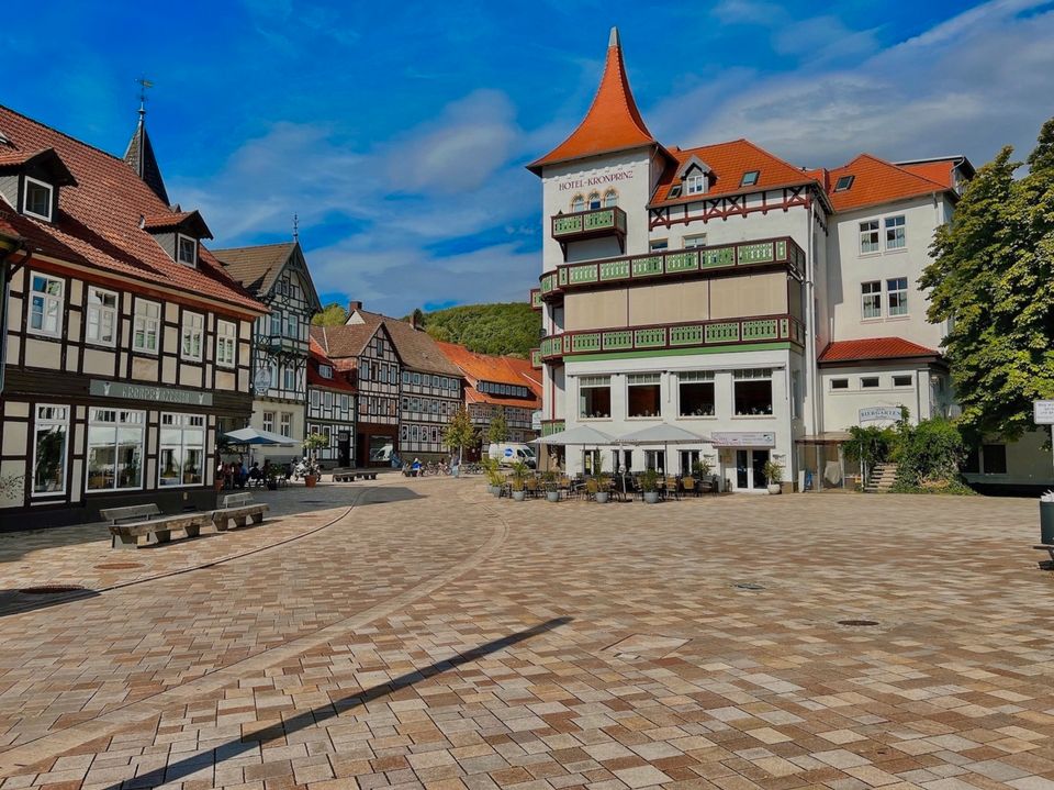 Bad Salzdetfurth  |  Dies könnte Ihre Aussicht sein! Baugrundstück auf Südhang in Bad Salzdetfurth