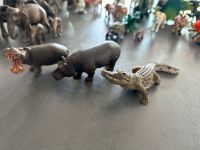 Schleich Flusspferd Nilpferd Krokodil GROSS Hessen - Hasselroth Vorschau