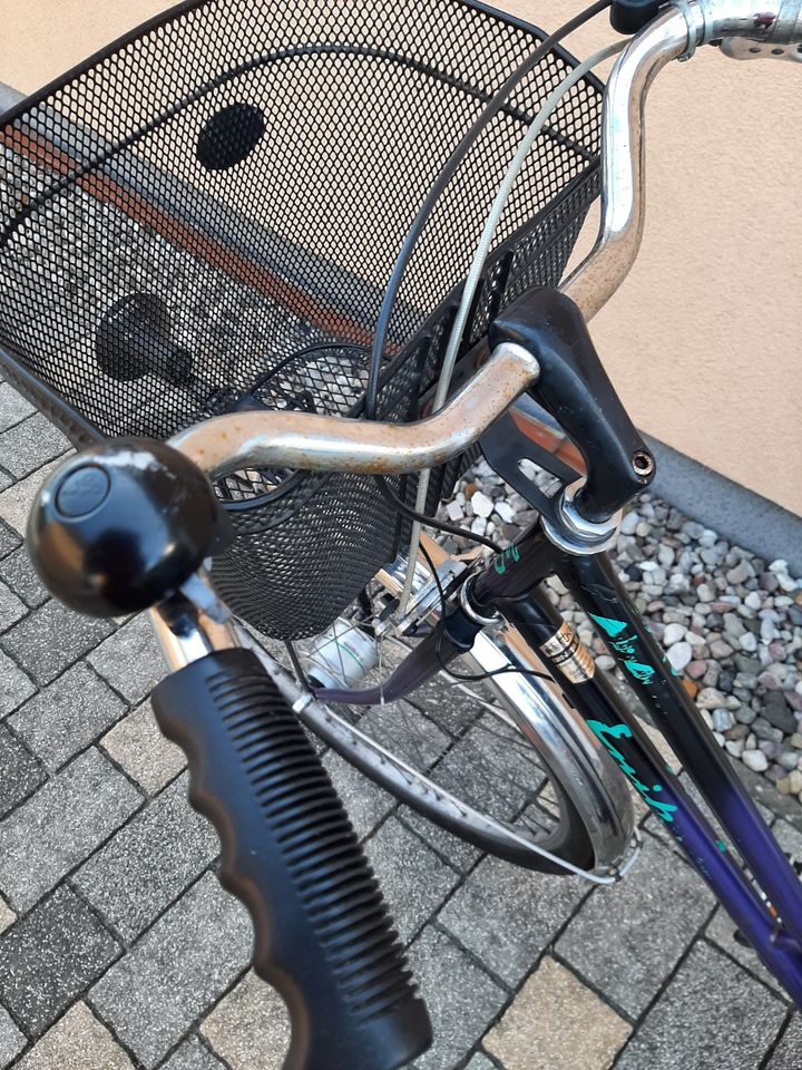 Fahrrad Damen 28 Zoll lila grün schwarz ERIKA in Ueckermuende
