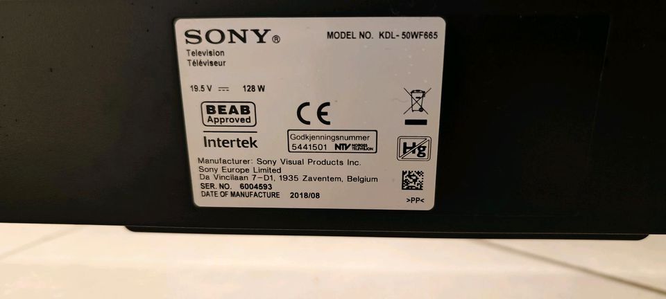 Smart TV Sony 50 " in Borgentreich