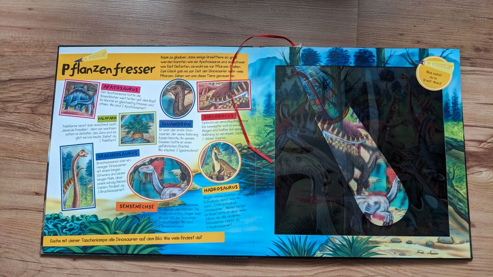 Kinderbuch, Dinosaurierbuch in Luckenwalde