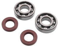 Kurbelwellenlagersatz R&D SKF C5 D50B0 VITON Wellendichtring Nordrhein-Westfalen - Moers Vorschau