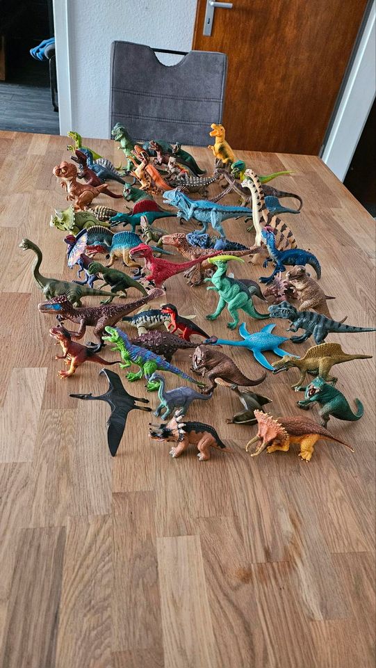 Große Dinosaurier Sammlung in Wuppertal