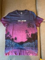 Hollister Shirt Nordrhein-Westfalen - Bad Honnef Vorschau