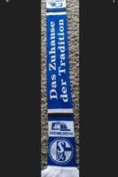 FC Schalke 04 Fan Schal  neuwertig Rheinland-Pfalz - Leiningen Vorschau