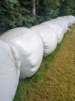 Silo Rollen Sachsen - Callenberg b Hohenstein-Ernstthal Vorschau