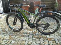 Cannondale Trail Neo 2 2019 504 Hw Motor, Reifen Bremsbeläge NEU Niedersachsen - Ebstorf Vorschau