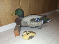 Kunststoff Ente u. Entenküken/Lockenten/Jagd-Deko-Gartenteich Niedersachsen - Wanna Vorschau