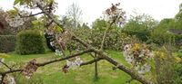 Parzelle Eigenland Findorff Strom Grundwasser Findorff - In den Hufen Vorschau