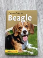 Premium Ratgeber Beagle DAS BUCH für alle Beagle-Fans Nordfriesland - Bredstedt Vorschau