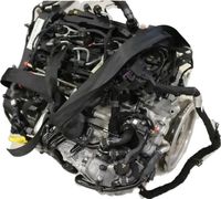 Motor Skoda/VW 2.0 TDI DFCA 140 KW 190 PS 95 TKM mit Lieferung Leipzig - Gohlis-Mitte Vorschau