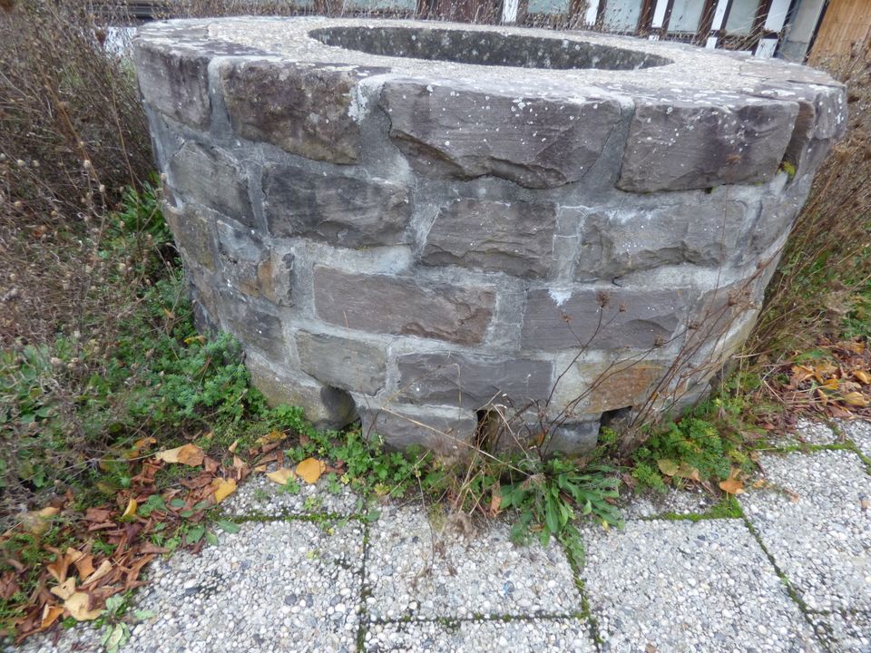 Mauerstein Trockenmauer handbehauen Natur- Bruchstein Grauwacke in Eitorf