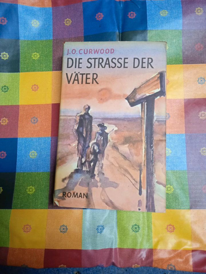 Die Straße der Väter, Buch 1956, Klassiker, inkl. Porto in Langelsheim