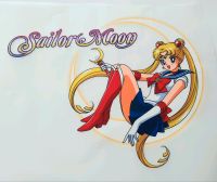 Sailor Moon Bügelbild Aufbügelbild Manga Anime Patch Baden-Württemberg - Großrinderfeld Vorschau