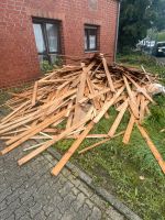 Brennholz zu verschenken Nordrhein-Westfalen - Eschweiler Vorschau
