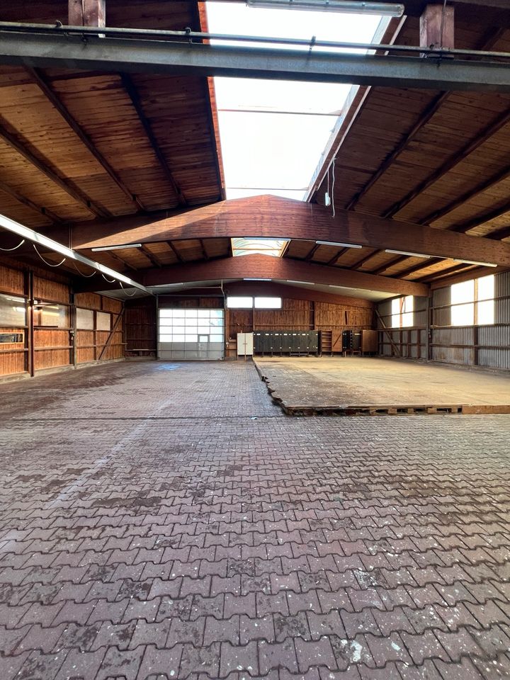 Halle Gewerbehalle Lager Vermieten Produktion 600m² in Ulrichstein