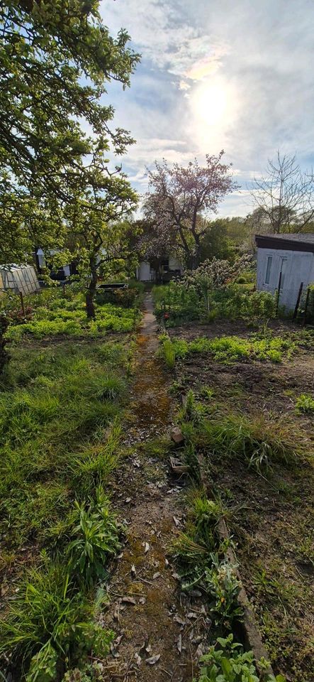 Sonniger Garten Krösnitz in Schwerin