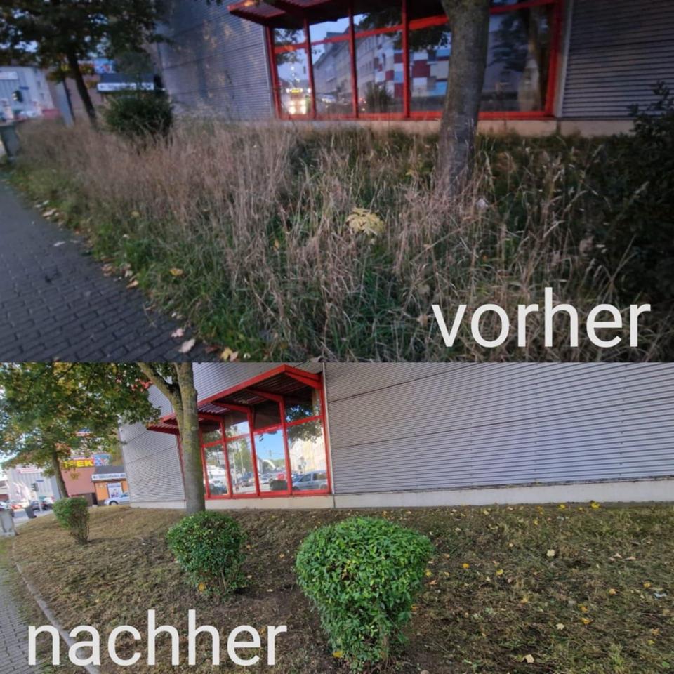 Gartenpflege, Gartenarbeit oder Gärtner in Bochum BochumMitte