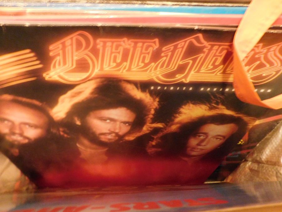 LPs von Bee Gees,Frank Zander,Roxette-Pop,Schlager in Berlin