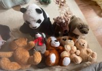Kuscheltiere Panda, Hirsch ,Bär, seebär, Hund, Streifenskunk, Bayern - Karlstadt Vorschau