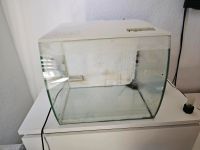 Fluval 57 liter Aquarium Duisburg - Meiderich/Beeck Vorschau