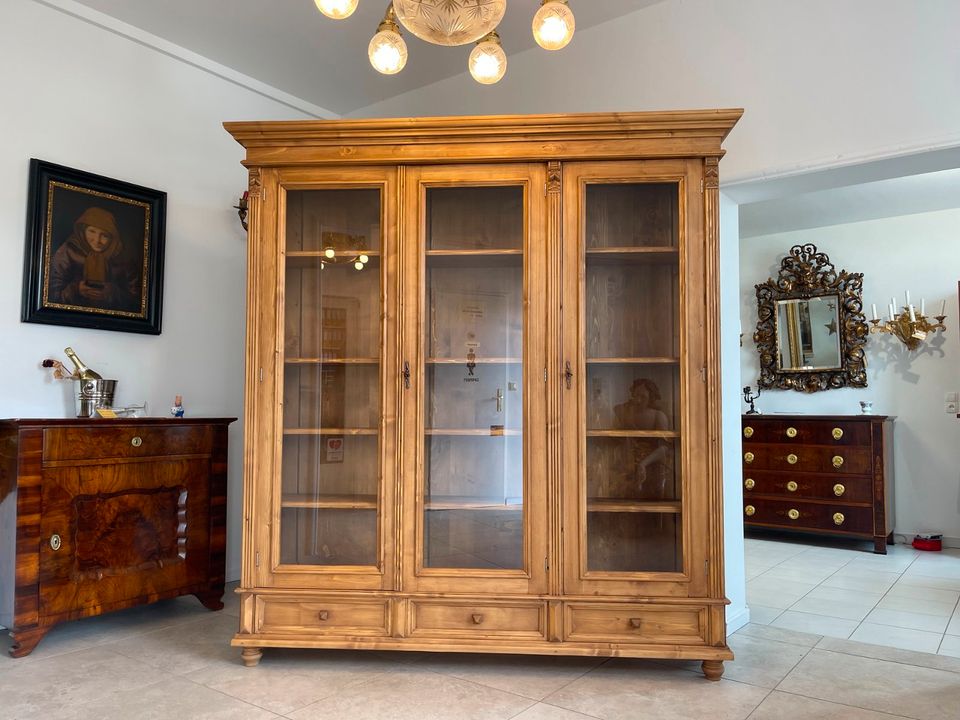 Große Vitrine Bauernvitrine Naturholz Bücherschrank A4260 in Freilassing