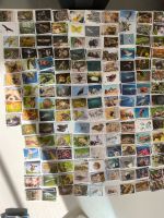 REWE Wilde Helden Komplettsatz 144 Sticker und 32 Karten Berlin - Lichtenberg Vorschau