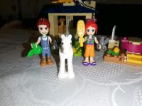 Lego Friends Set Konvolut Figuren mit Pony Bayern - Aschaffenburg Vorschau