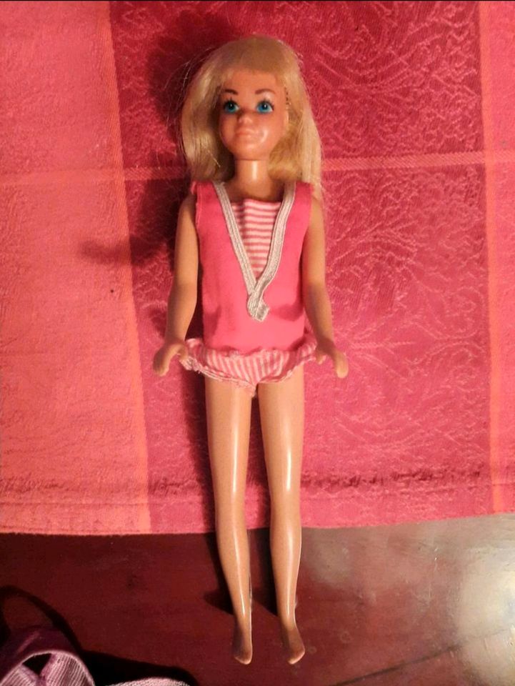Alte Barbie und Malibu Skipper in Jork