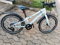 S'cool LiXe 20" Fahrrad superleicht, ähnlich Kania, Woom, frog Rheinland-Pfalz - Gau-Algesheim Vorschau