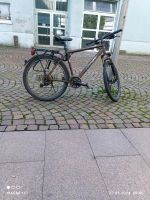 D4 Rider Damen Fahrrad/ Mountainbike Rheinland-Pfalz - Zweibrücken Vorschau