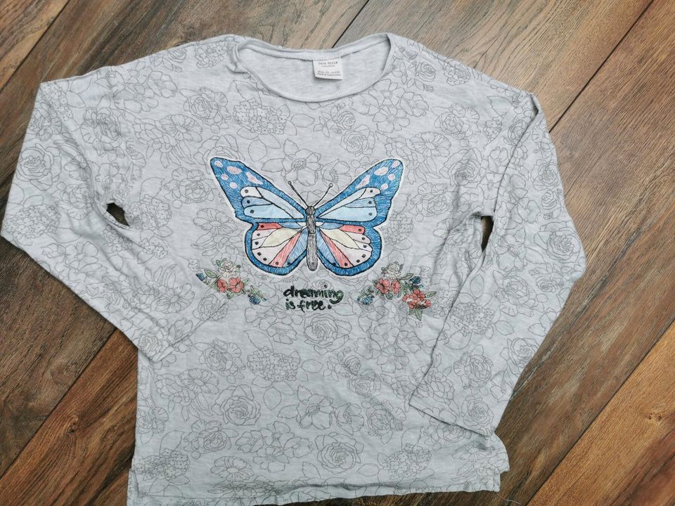 Shirt Zara 140 Schmetterling in Sundern (Sauerland)