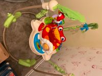 Baby Hüpfstall fisher-price Jumperoo Nordrhein-Westfalen - Bornheim Vorschau