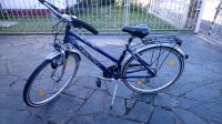 Damen Fahrrad 28 Zoll Pegasus Avanti Alu Hessen - Rosbach (v d Höhe) Vorschau