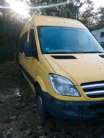 SPRINTER  CAMPER  WOHNWAGEN LKW ZULASSUNG Niedersachsen - Oldenburg Vorschau