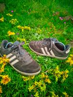ADIDAS Sneaker 37/38 Sachsen - Wiedemar Vorschau