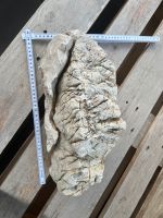 Frodo Stone Aquarium Stein hardscape Nordrhein-Westfalen - Kaarst Vorschau