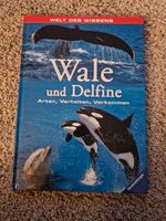Wale& Delfine Kinderbuch Baden-Württemberg - Mannheim Vorschau