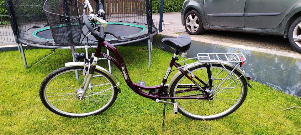 Fahrrad Cyco Tk-Life 28 zoll in Wachtendonk