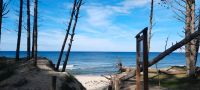 Ferienhaus Ostsee Polen Urlaub mit Hund Dresden - Innere Altstadt Vorschau