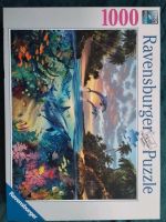 1000 Teile Puzzle Delphin Niedersachsen - Wolfsburg Vorschau