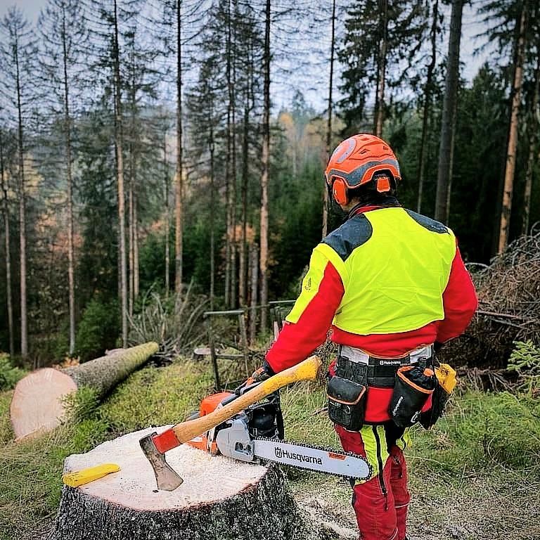 Zufäller Forstbetrieb Baumfällung Harvester in Kulmbach