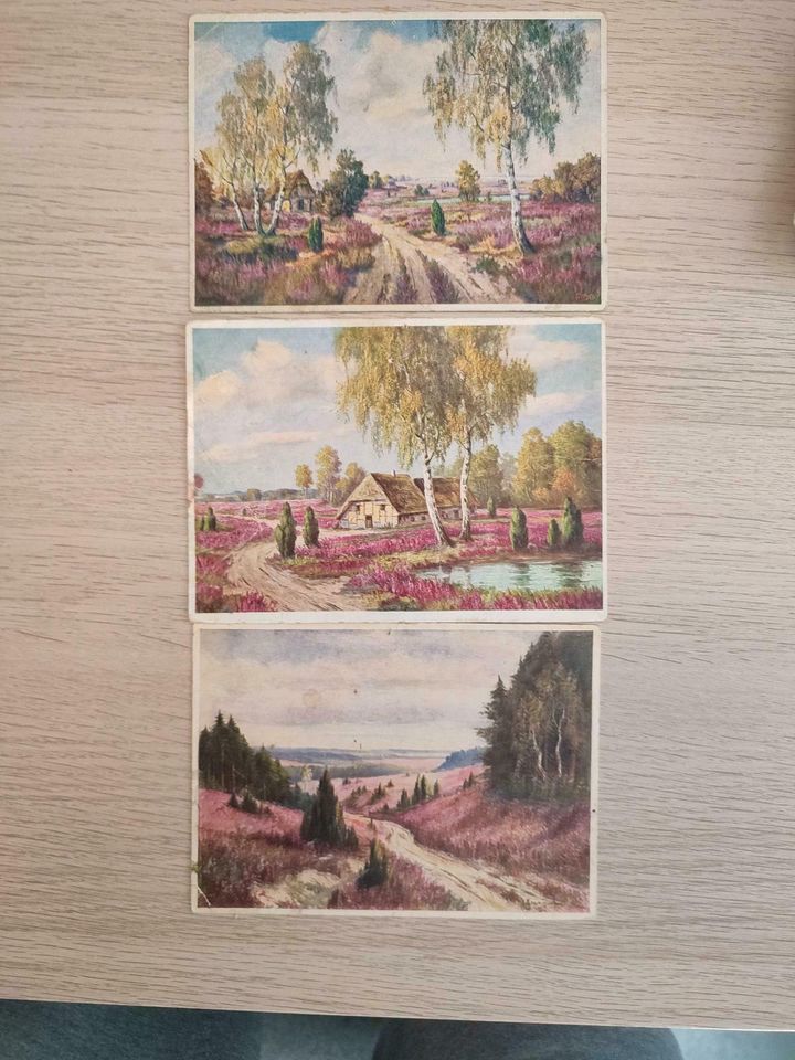 8 alte Postkarten gemalte Motive in Viersen