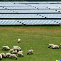 PV Solar Freiflächen Anbieter Pachtmodell Photovoltaik Nordrhein-Westfalen - Langenberg Vorschau