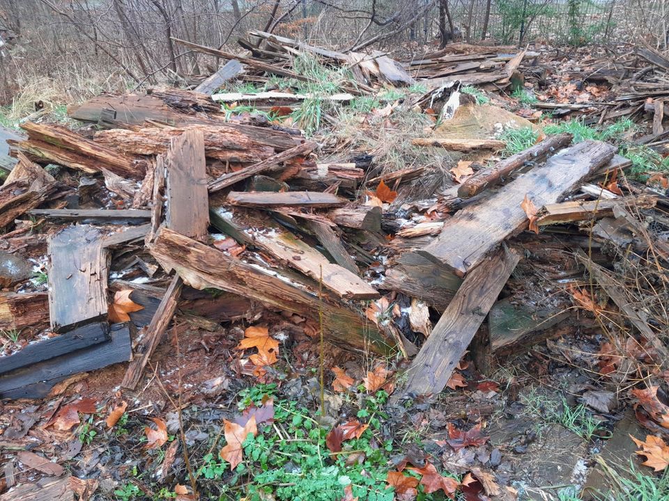 Brennholz, Abrissholz zu verschenken in Zabakuck