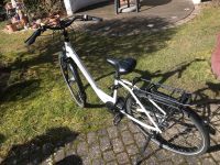 Kalkhoff E-Bike Damenfahrrad, Super Zustand Bayern - Hof (Saale) Vorschau