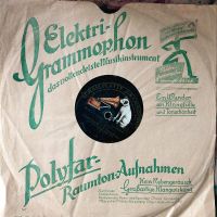 Alte Schellackplatten, Schallplatten,  Grammophon Sachsen-Anhalt - Dessau-Roßlau Vorschau