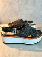 ZARA Damenschuhe Sandalen Sommerschuhe Gr.37 Nordrhein-Westfalen - Siegen Vorschau