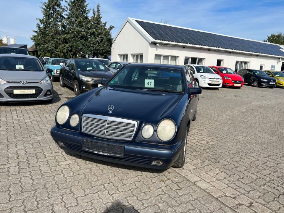 Mercedes-Benz E 240 in Neustadt am Rübenberge